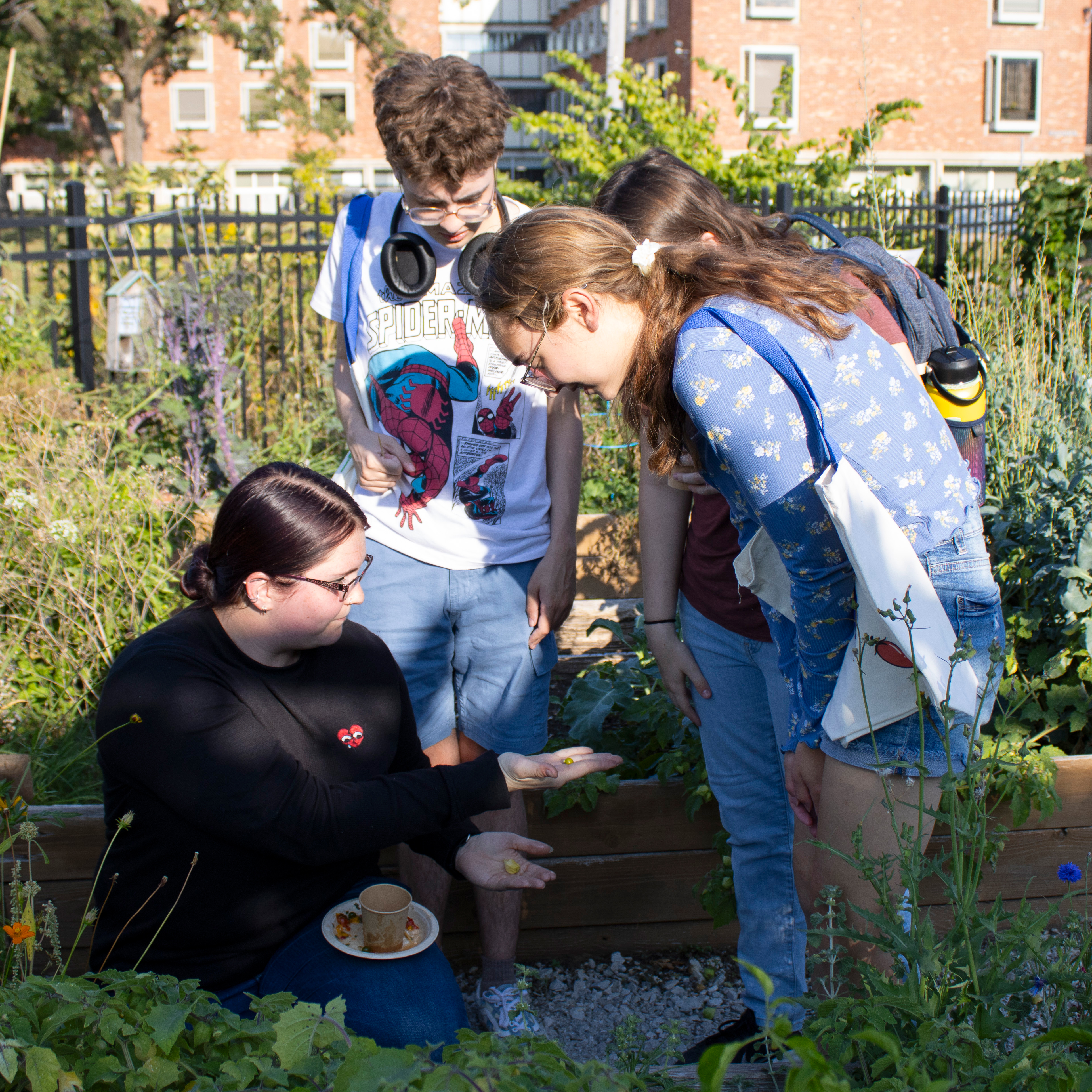 During the Harvest Party, a Drake student guides local students through the Sprout Garden, highlighting the produce and flowers grown