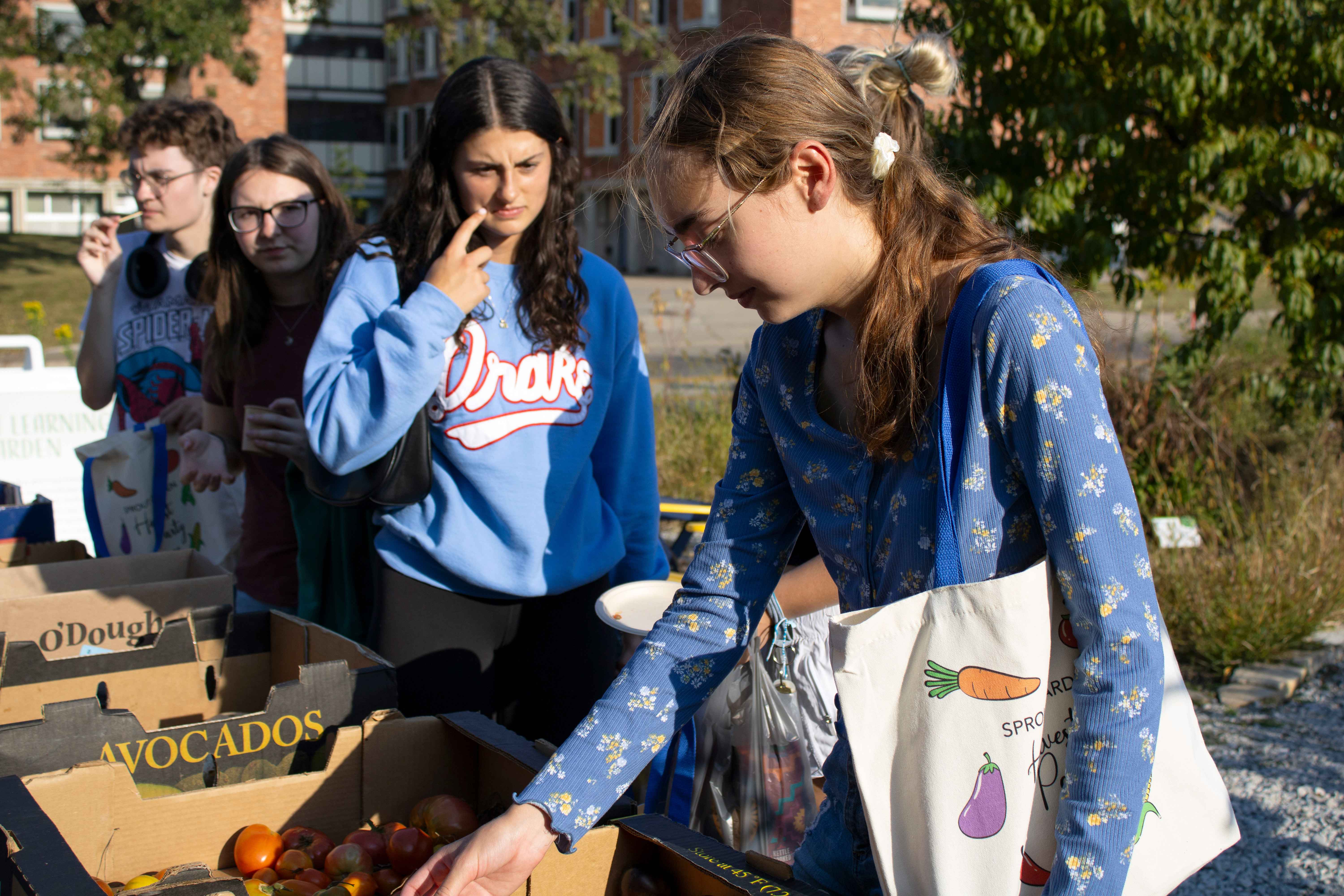 Drake students pick produce, stored in cardboard boxes, picked from the Sprout Garden during the Harvest Party