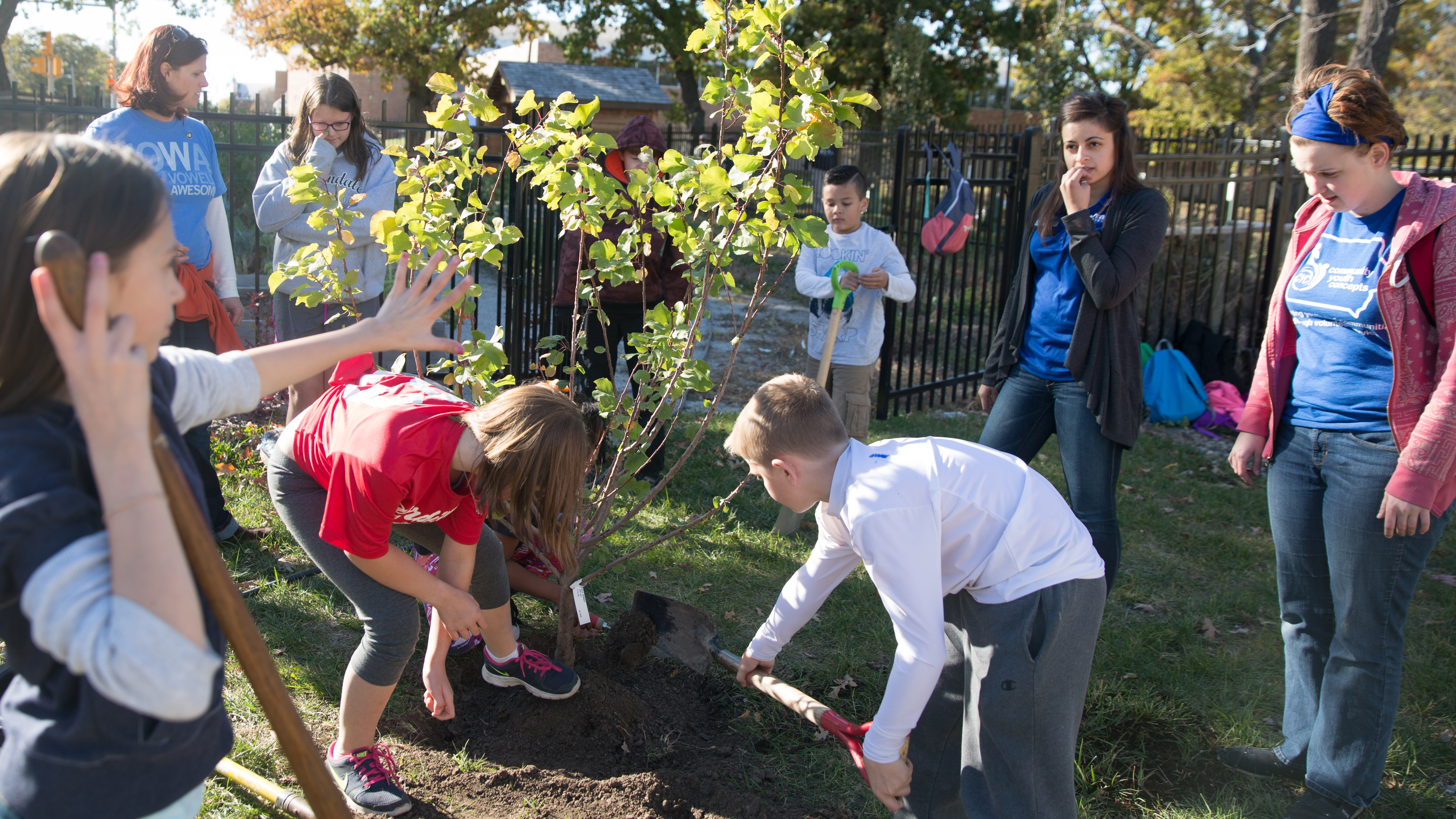Supervised by Drake students, middle-grade students who participate in the Sprout: The Des Moines Urban Youth Learning Garden program plant a tree together