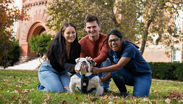 Three students sitting on the grass in front of Old Main during the Fall, with Griff II, feature for Fall Transfer Orientation.