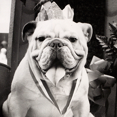 1979 - Pudger