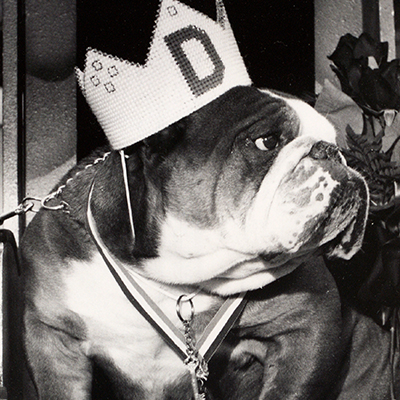 1982 - DeWitt