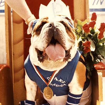 1988 - Sir Mugzy