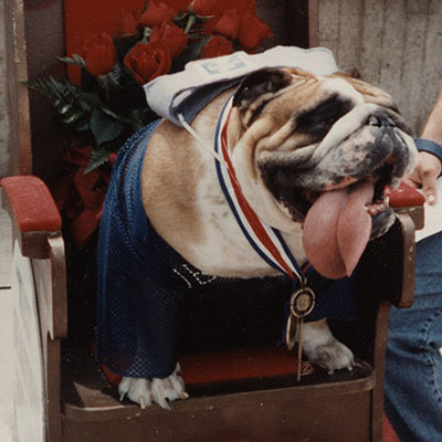 1994 - Big Bad Bubba