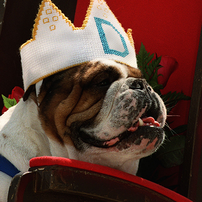 1996 - Otis