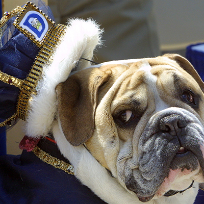 2004 - Bruiser