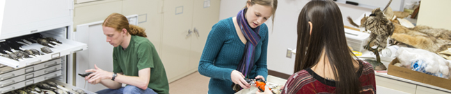 Bio diversity lab facility
