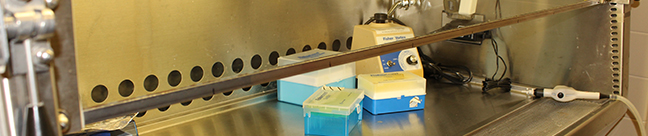 Image of cell center facility 