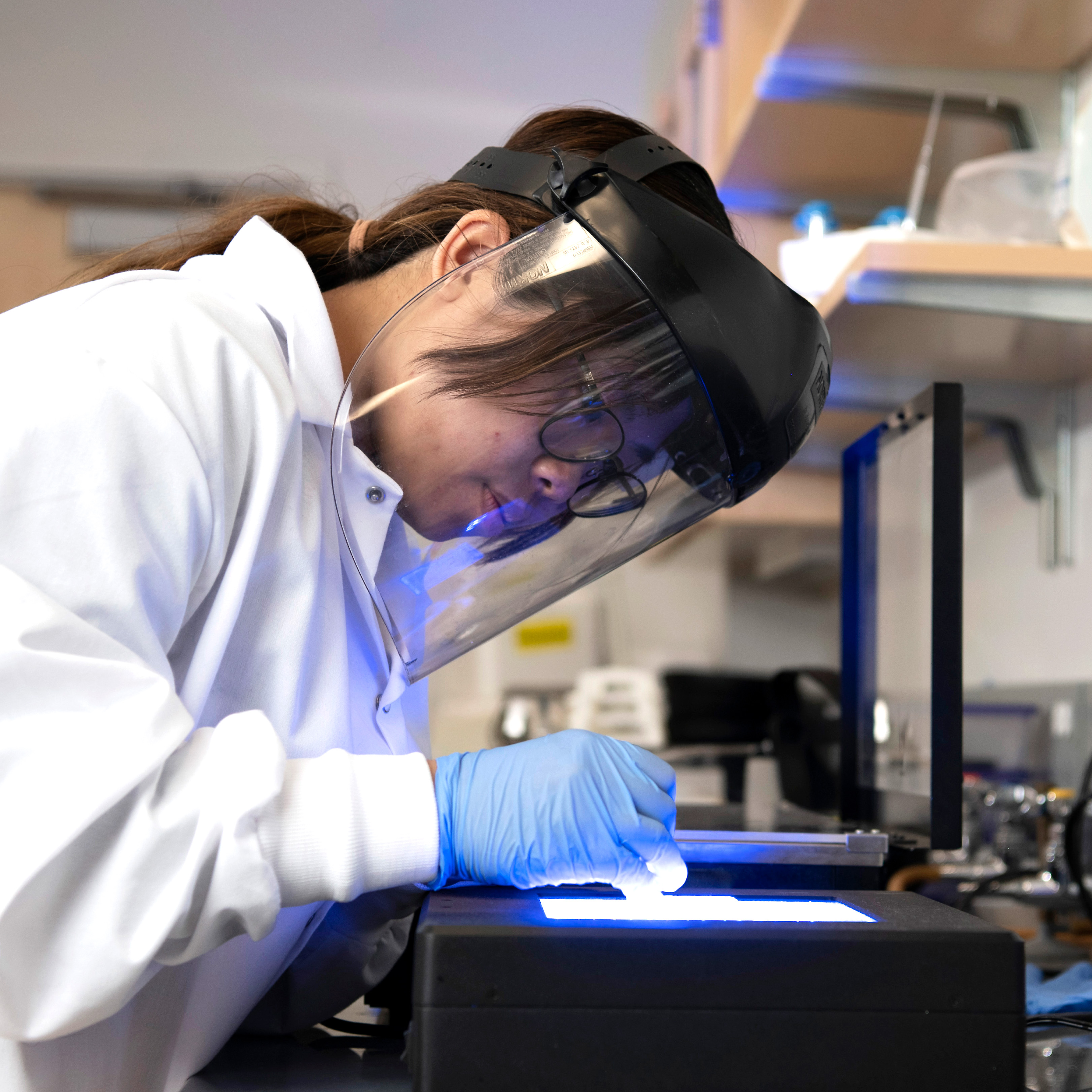 For an undergraduate research project, a Drake College of Arts and Sciences student examines samples with a light box in a lab