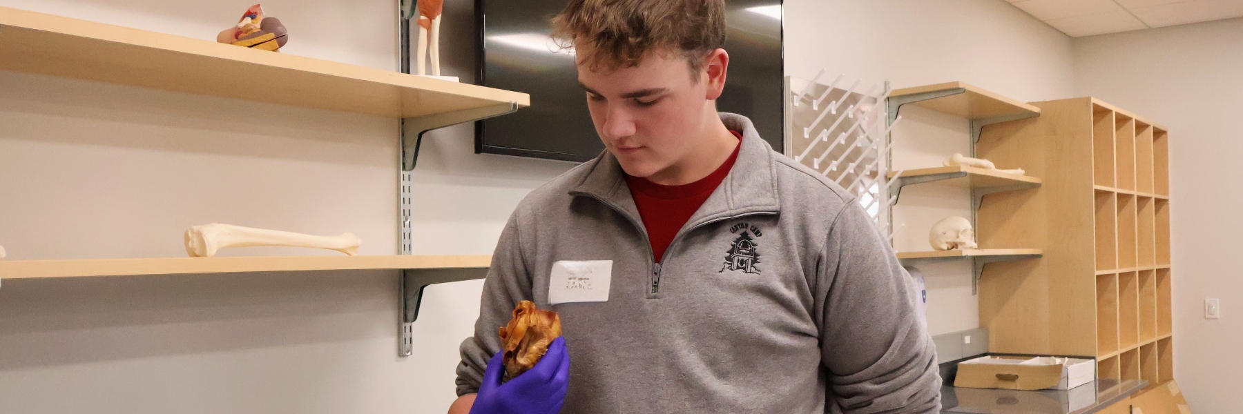 A prospective Drake student inspects a real human heart on a visit day