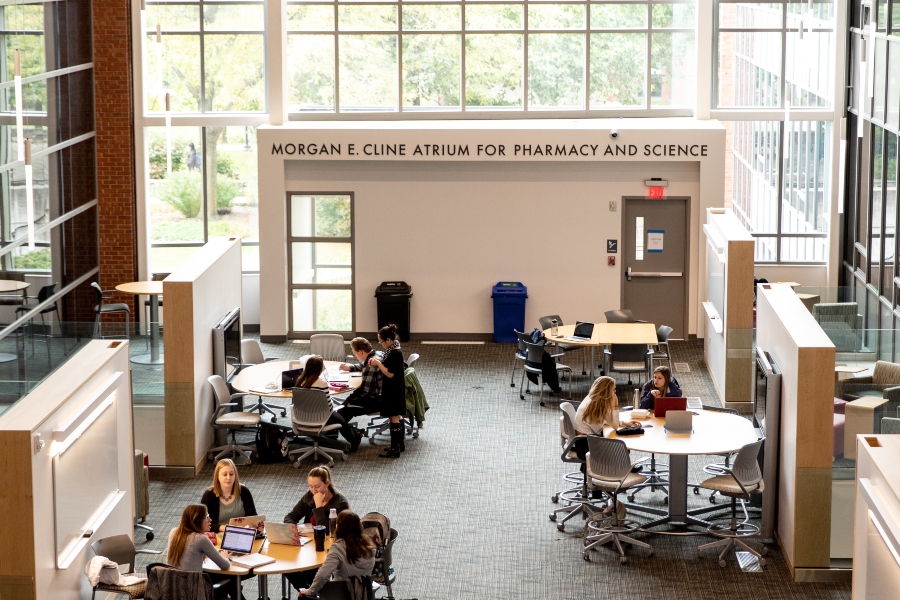 Birdseye of students studying together at tables in the Cline Atrium