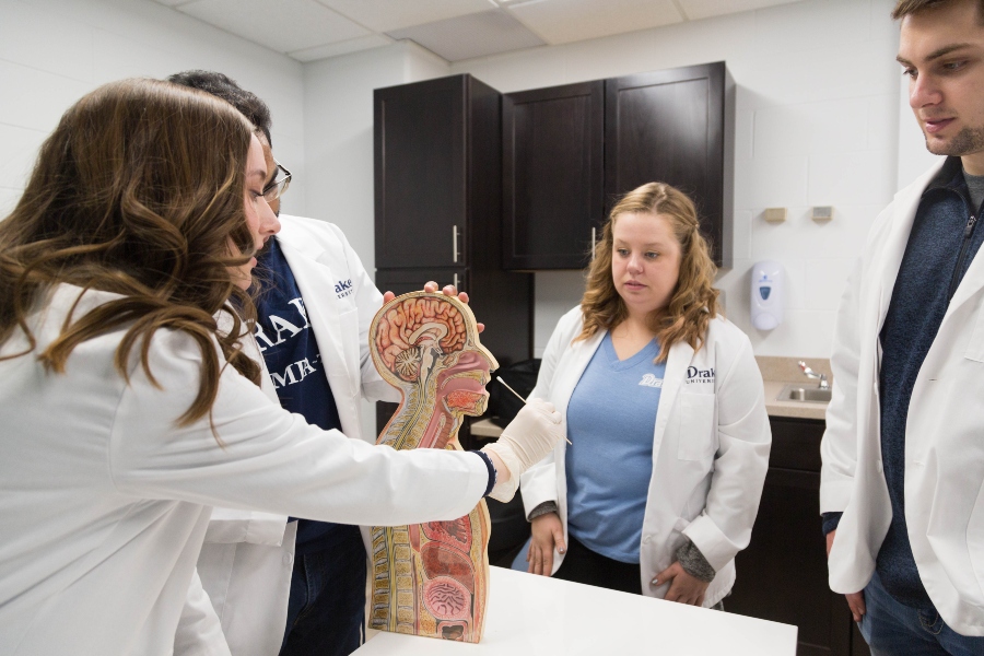 Drake students swab the nose of an anatomical skull in an exam room