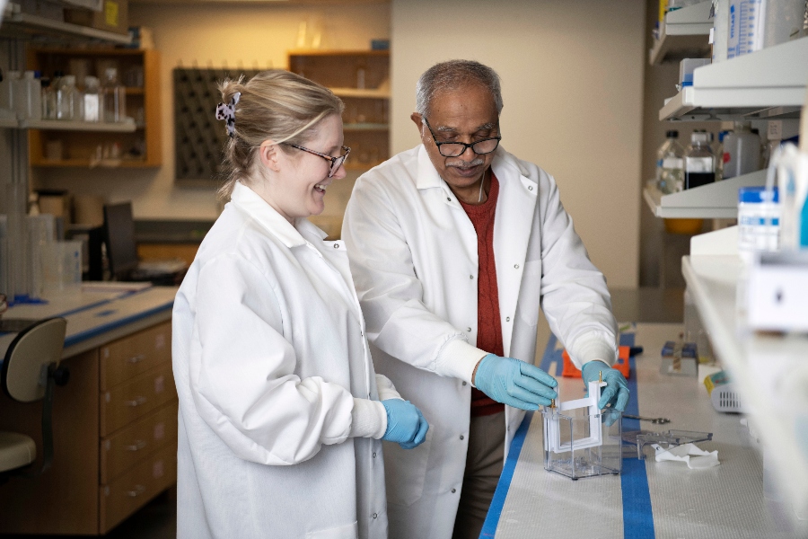 A Drake student and faculty member wear white coats and work in a lab