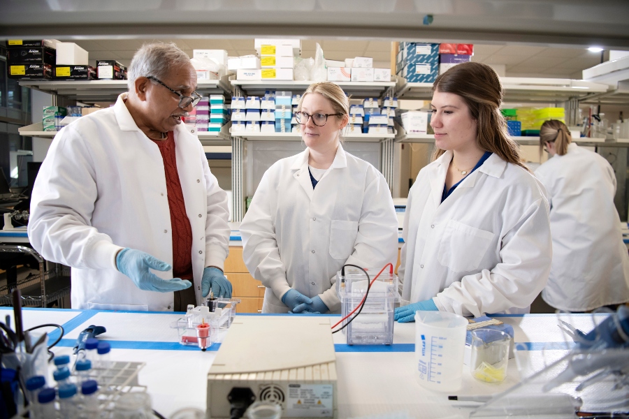 Faculty Research Projects