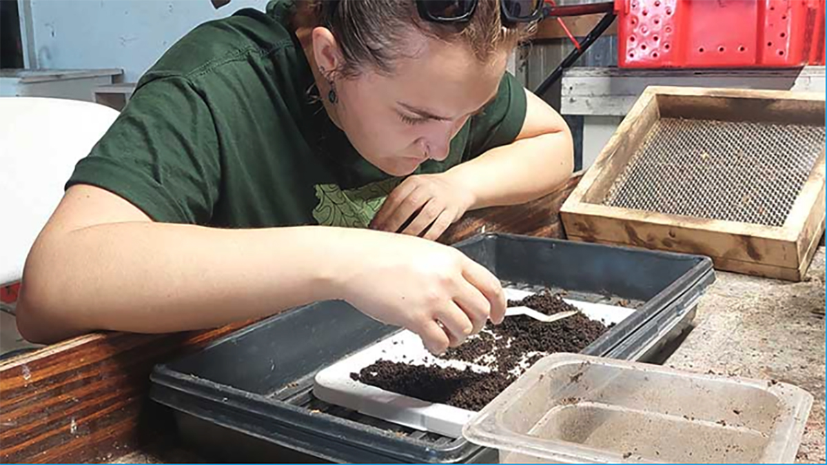 Student leaning over a tray, looking at some dirt.