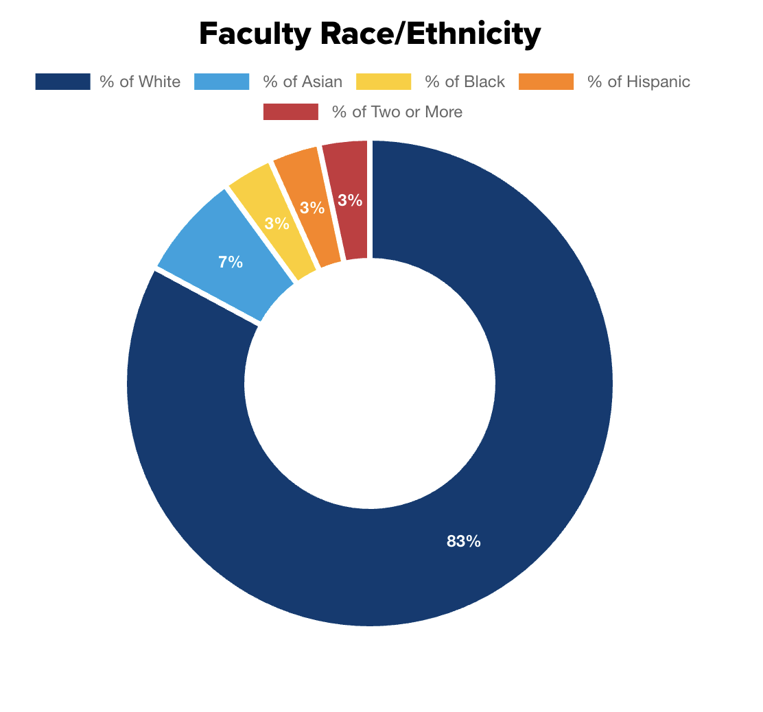 Faculty Ethnic Diversity Chart