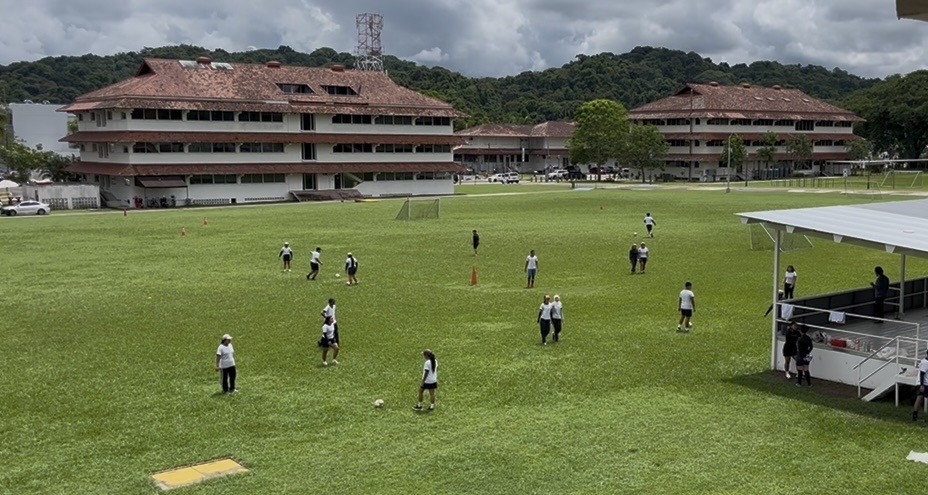 People playing on a grassy field