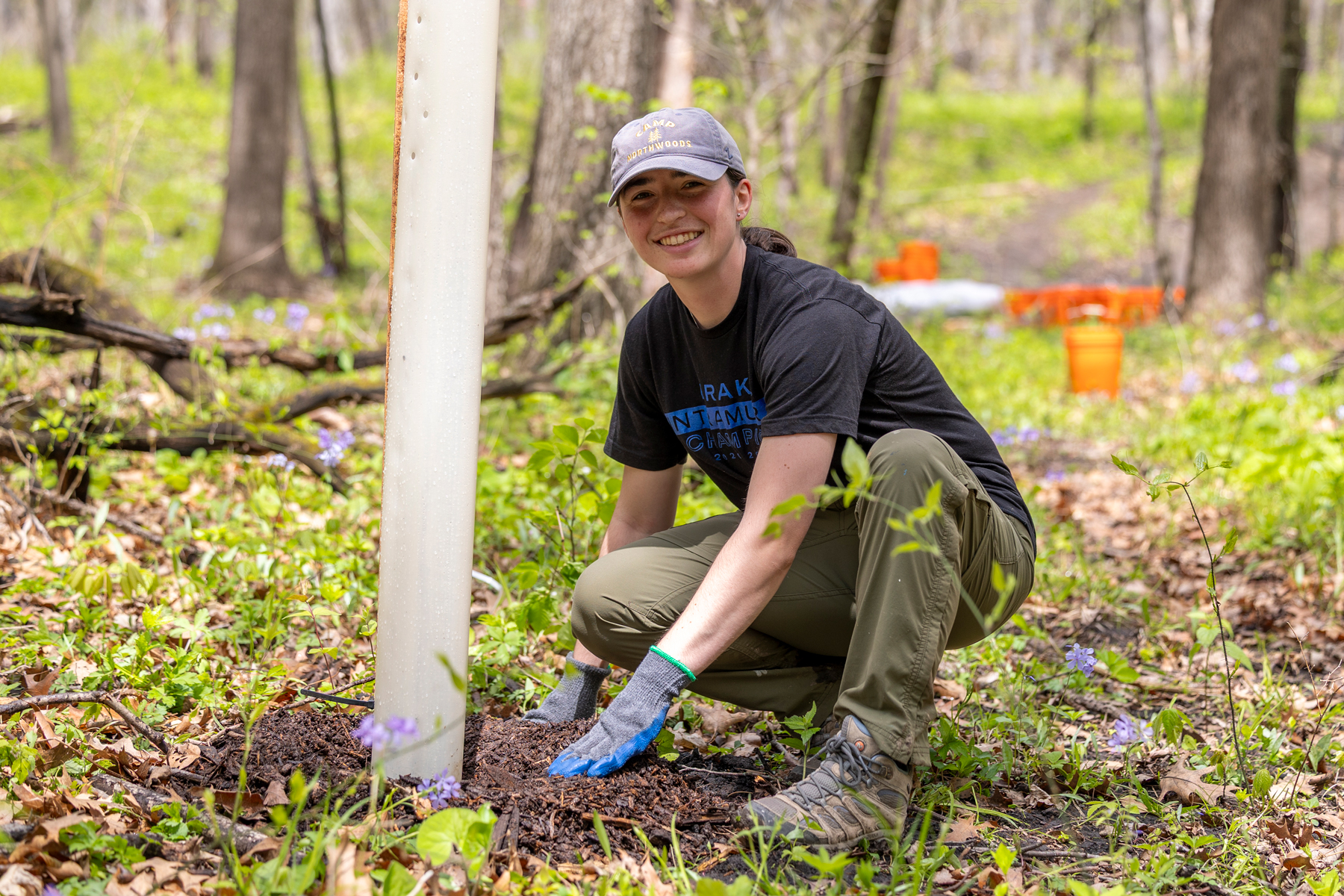 A student wearing a hat kneels down while moving dirt around the base of a pole in the woods