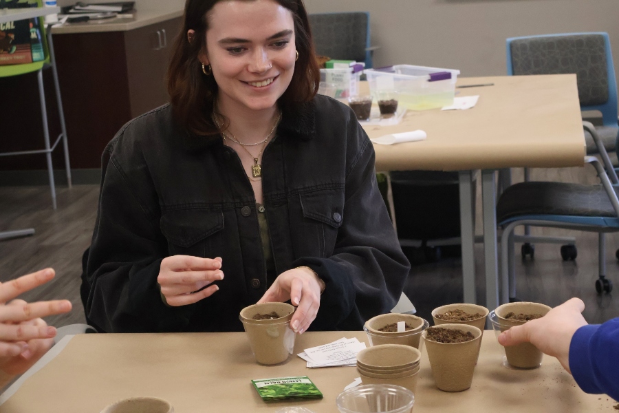 Students from Drake's 3 to a Health Sciences Degree and Joint Programs plant seeds into pots for a community improvement project