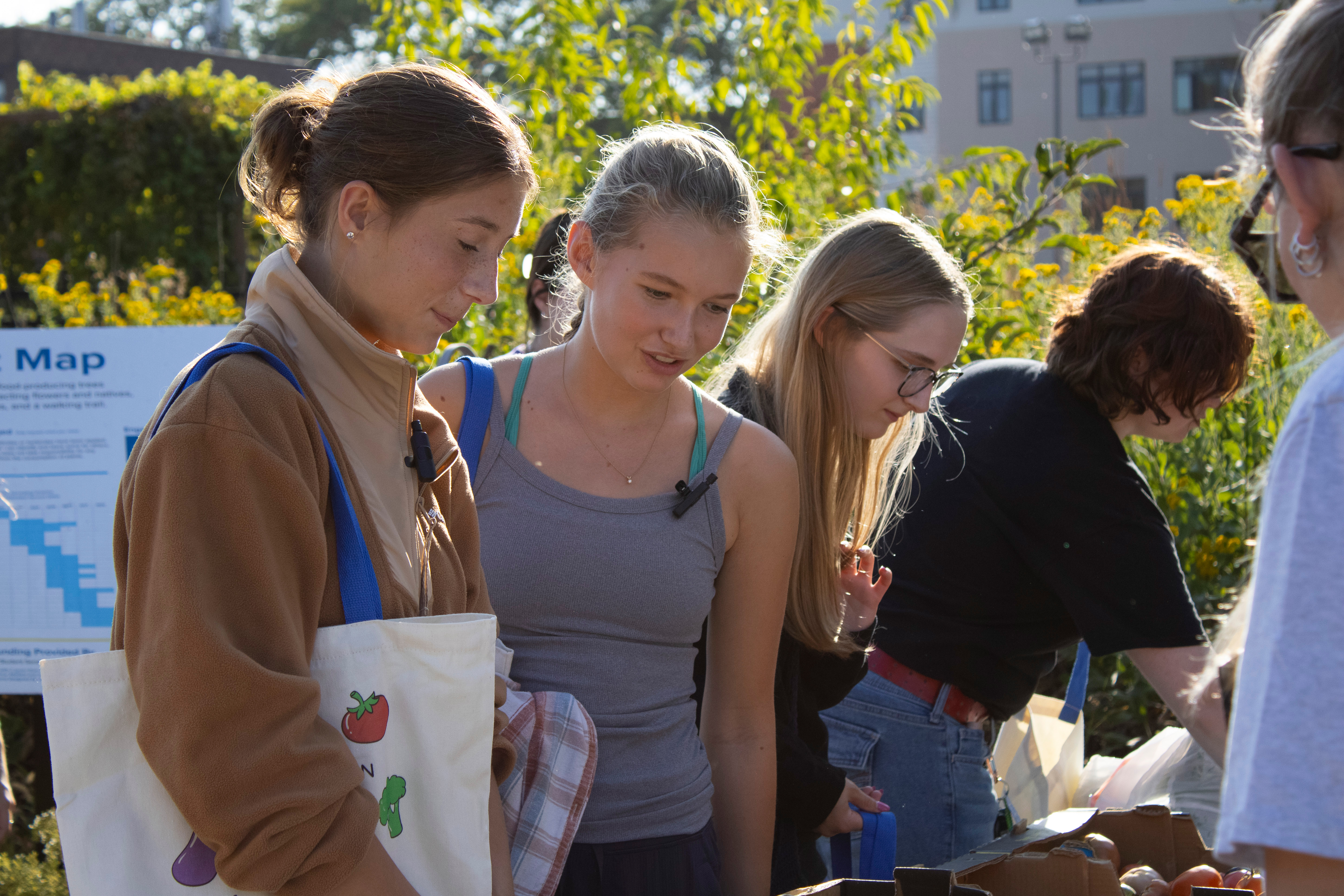 At an outdoor fair, Drake Anthropology and Sociology students stop at a table to learn more about volunteer opportunities