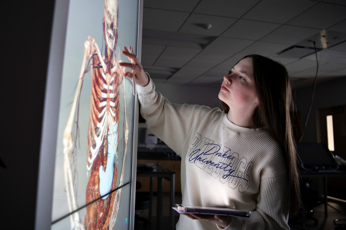 A Drake Biology student closely studies the musculoskeletal system with a lit anatomage table in a campus lab