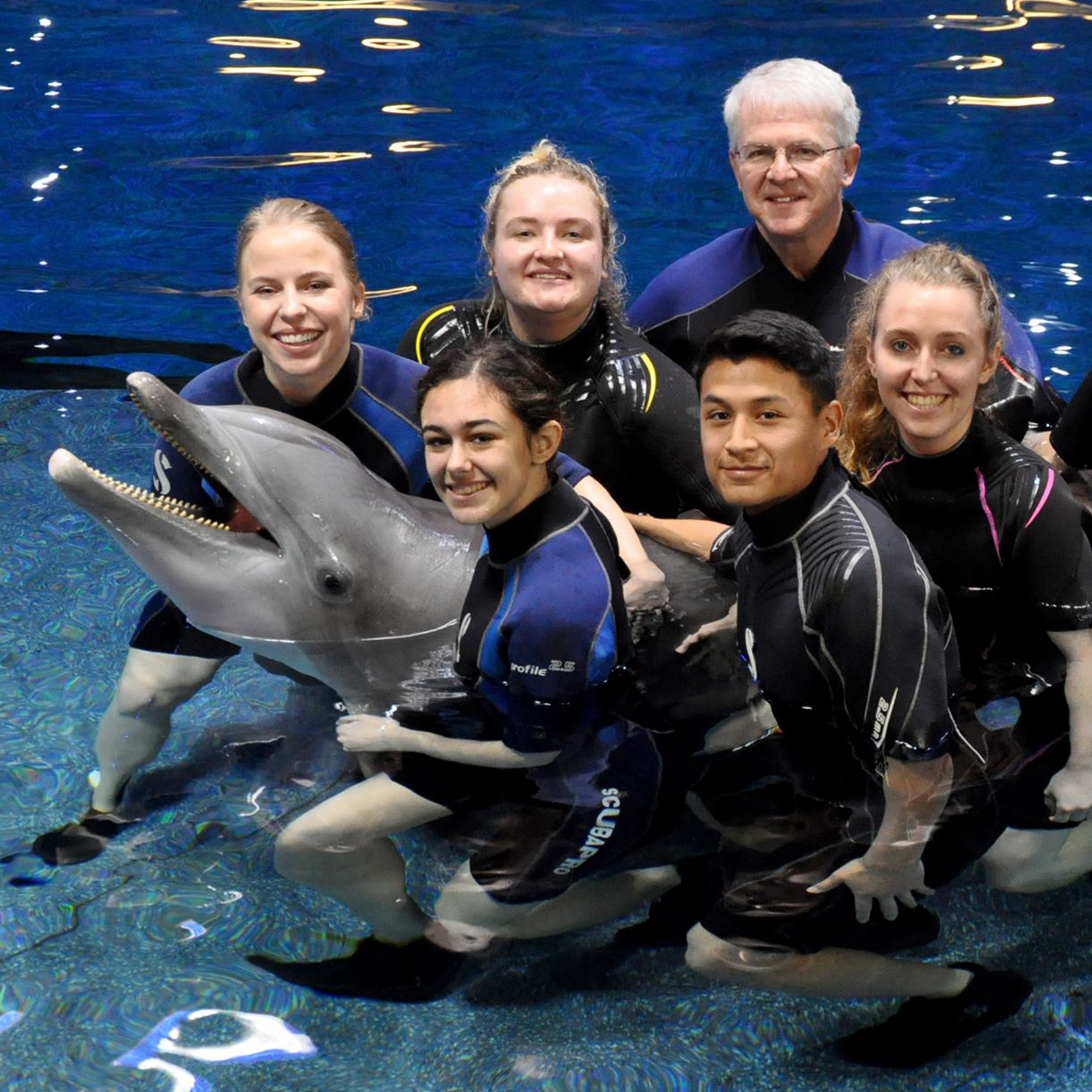 Students and faculty from Drake's Comparative Animal Behavior Concentration wear wetsuits as they hold a dolphin in a pool