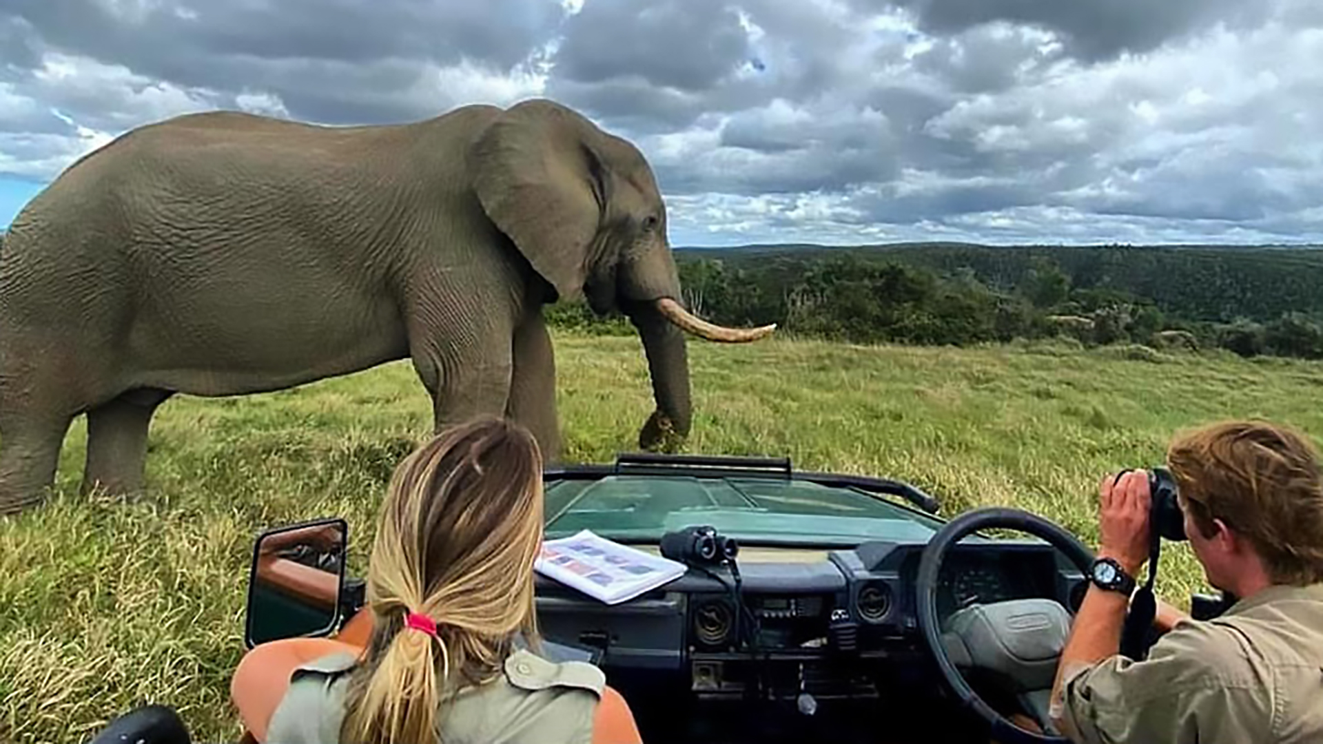 For an experience open to students in Drake's Comparative Animal Behavior Concentration, two students sit in a jeep to observe an elephant.