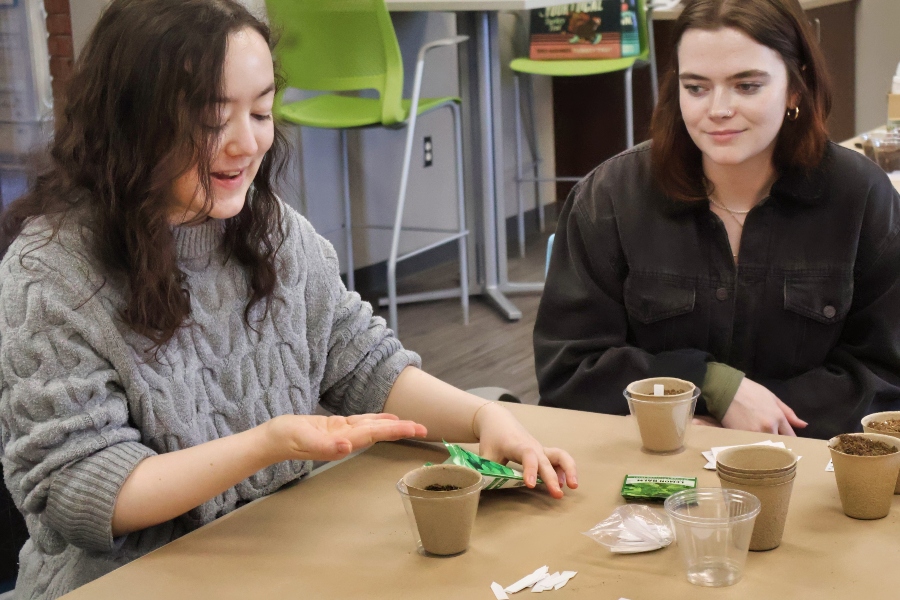 Health Sciences students prepare potted plants for a service learning project