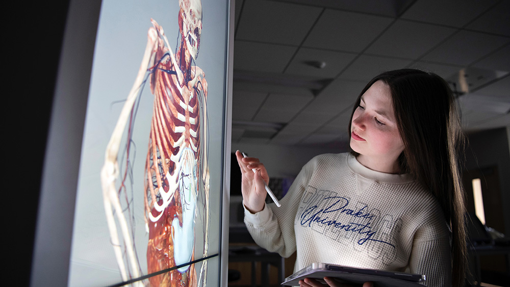 A Drake Health Sciences Major studies a lit image of the human musculoskeletal system in a classroom