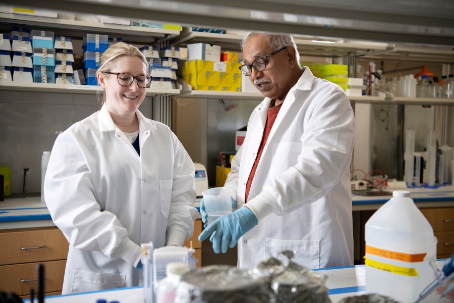 A Drake Pre-Pharmacy students learns research techniques from a faculty member in a campus laboratory