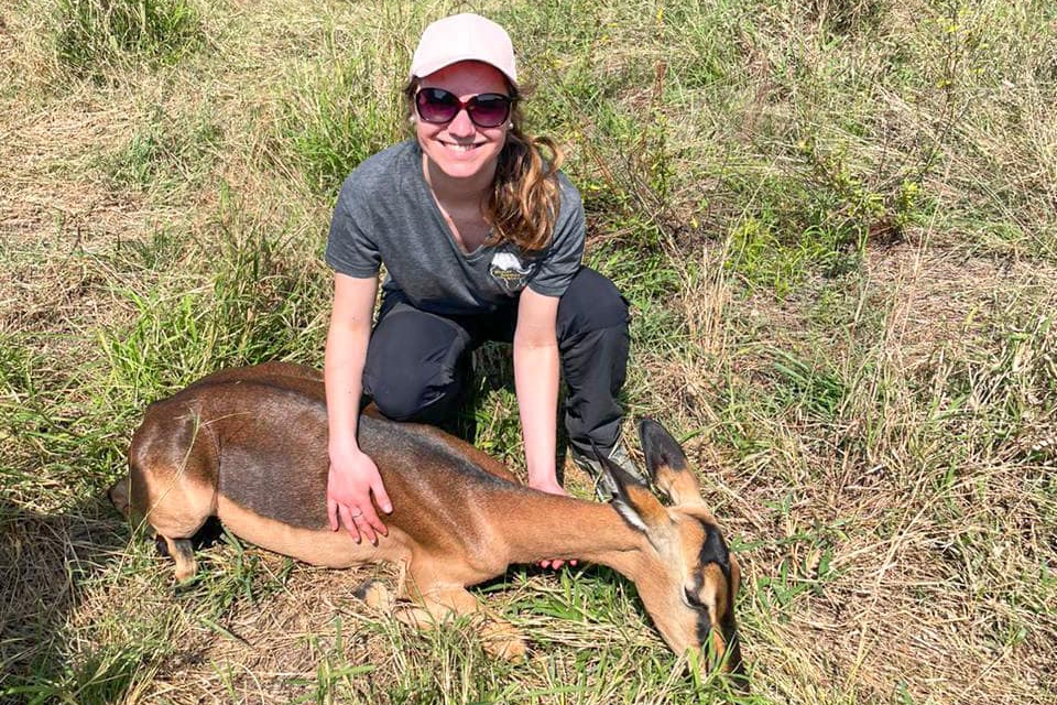 A Drake Zoo and Conservation Science student assists a deer in a woodland environment