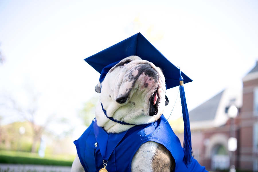Griff II in graduation regalia looking at the sky