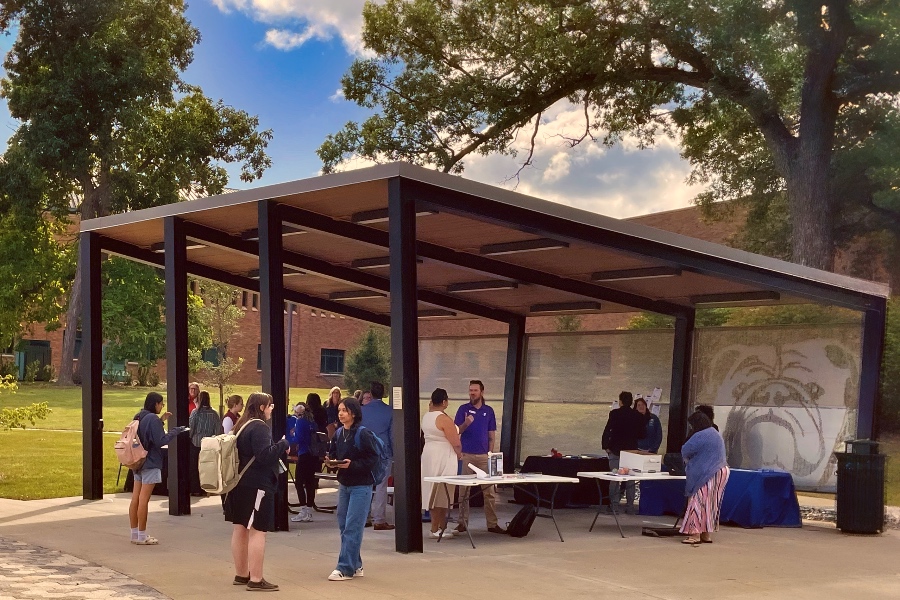 The annual soe community org fair
