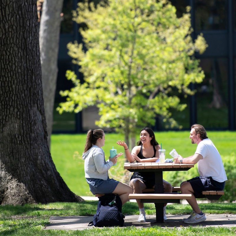 Three students sitting at a table outside under a tree talking to each other