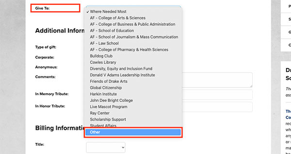 screenshot of giving form showing the other selection under give to