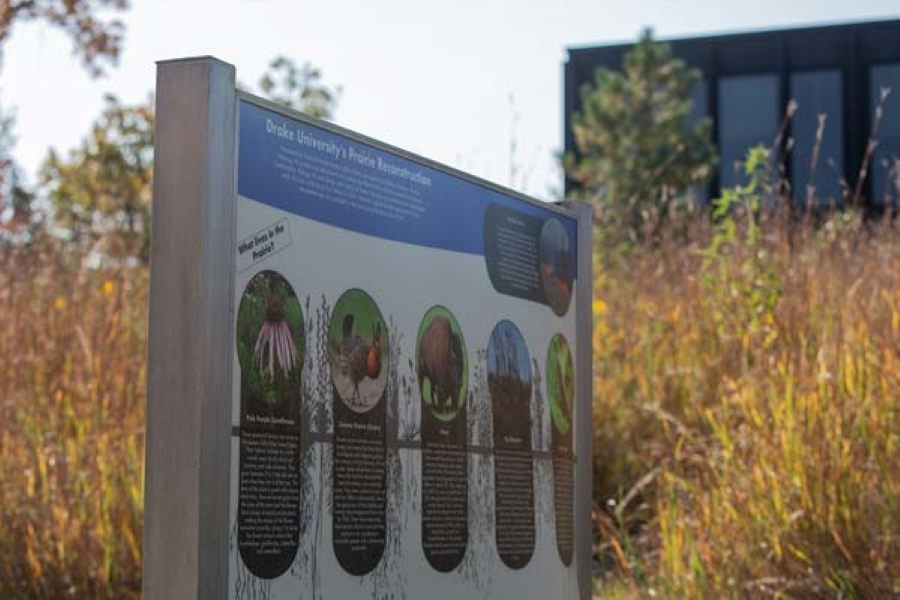 Campus Sustainability