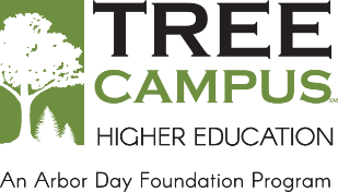 Logo image for the Tree Campus Higher Education Arbor Day Foundation