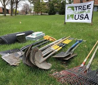 Image of tree shovels and digging supplies